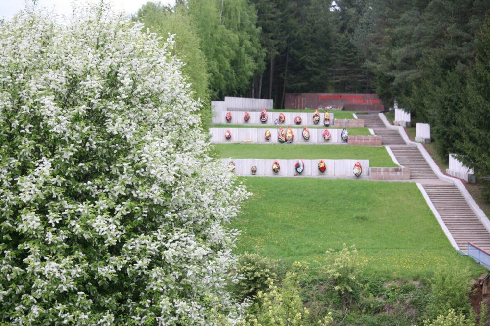 день города зубцов 4