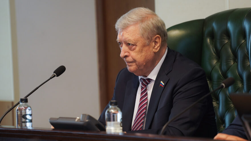 заместитель председателя зс