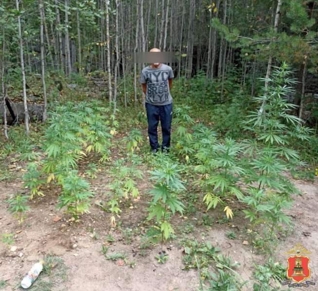 Фото: Пресс-служба УМВД России по Тверской области