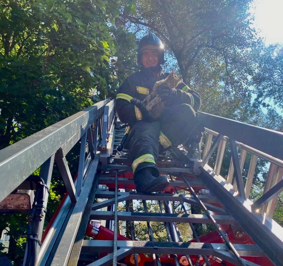 Фото: пресс-служба ГУ МЧС России по Тверской области