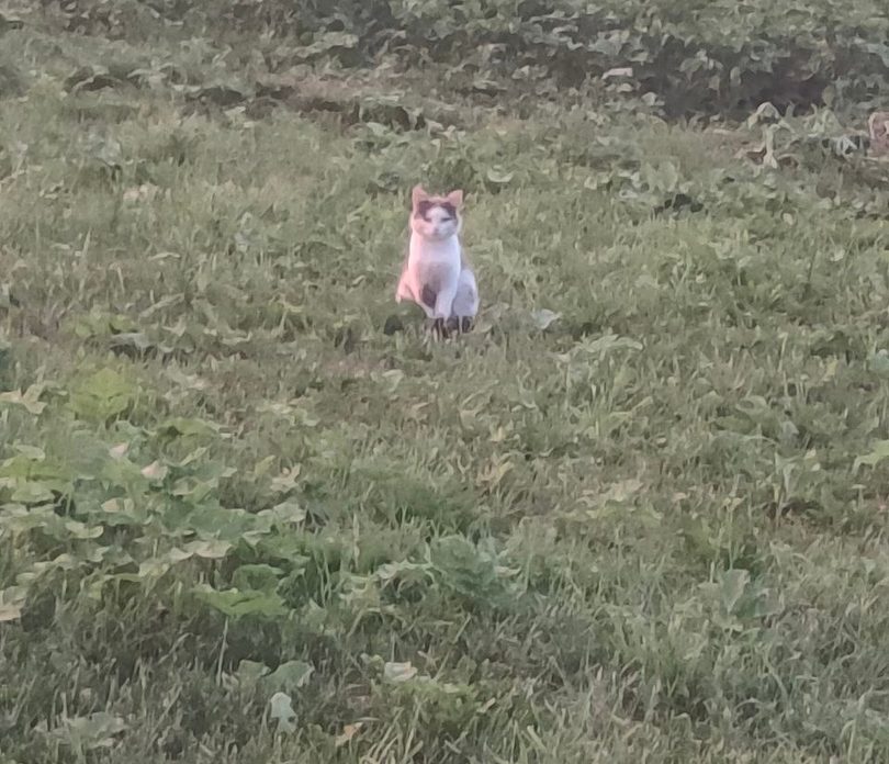 Фото: ВК-сообщество 