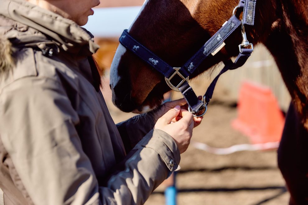 Фото: Анастасия Чистякова/РИА Верхневолжье