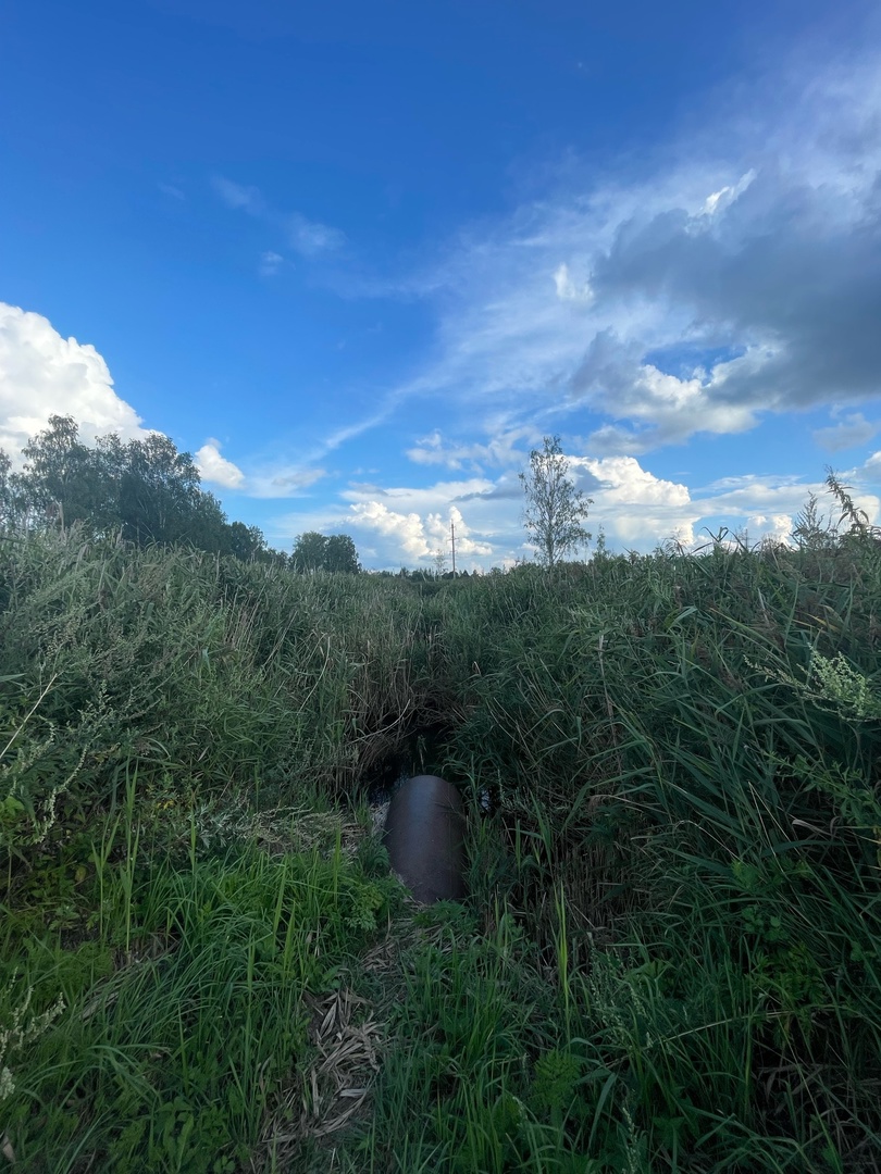 мазут редкино life 1