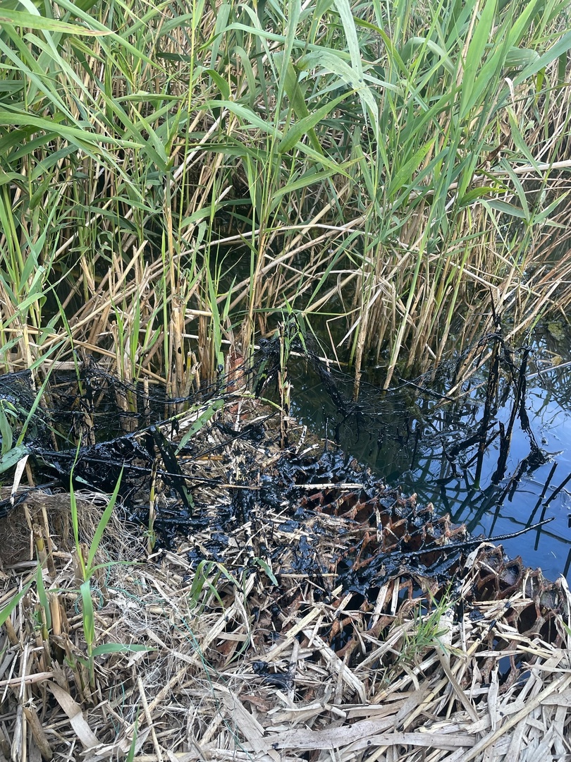 мазут редкино life 2