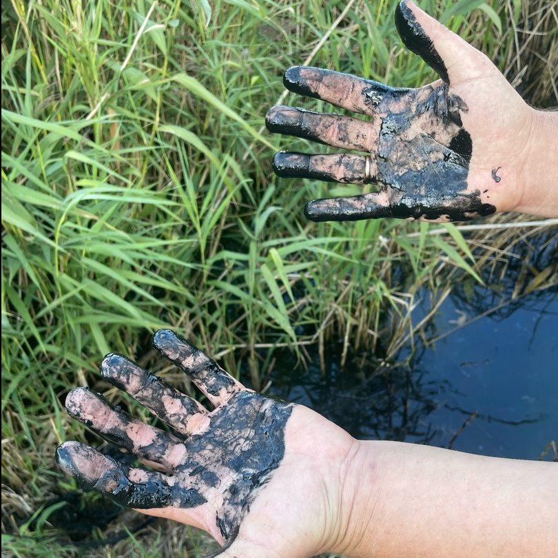 Фото: ВК-сообщество Редкино LIFE