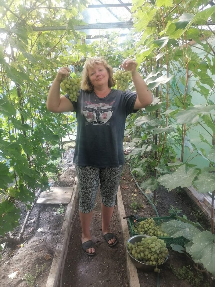 орлов александр виноград 2