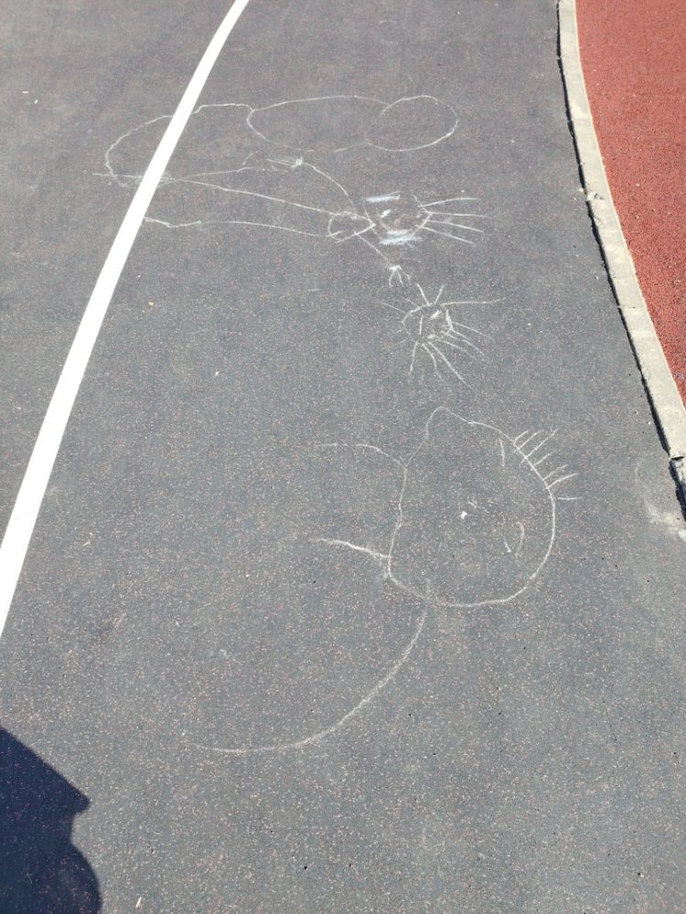 разрушенный стадион бежецк 4