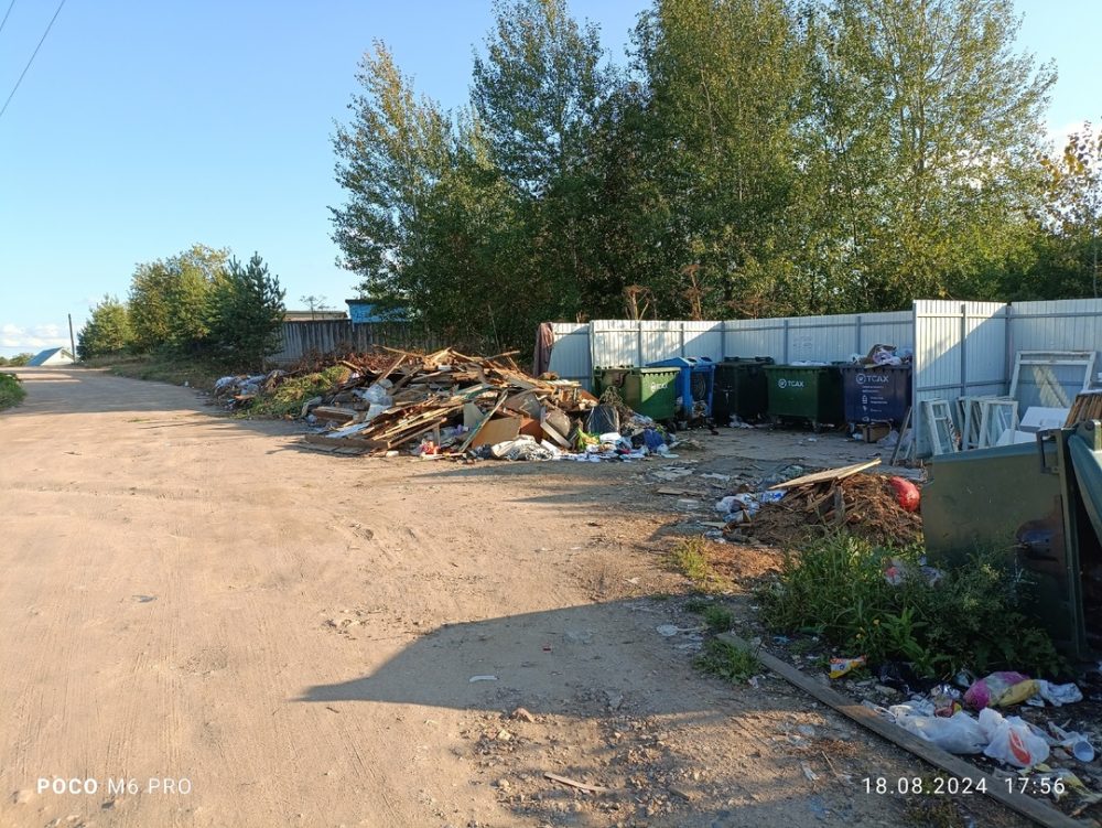 Фото: Наталья Беляева / ВК-сообщество 