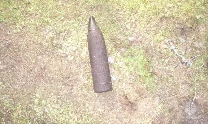 Фото: телеграм-канал МЧС России по Тверской области