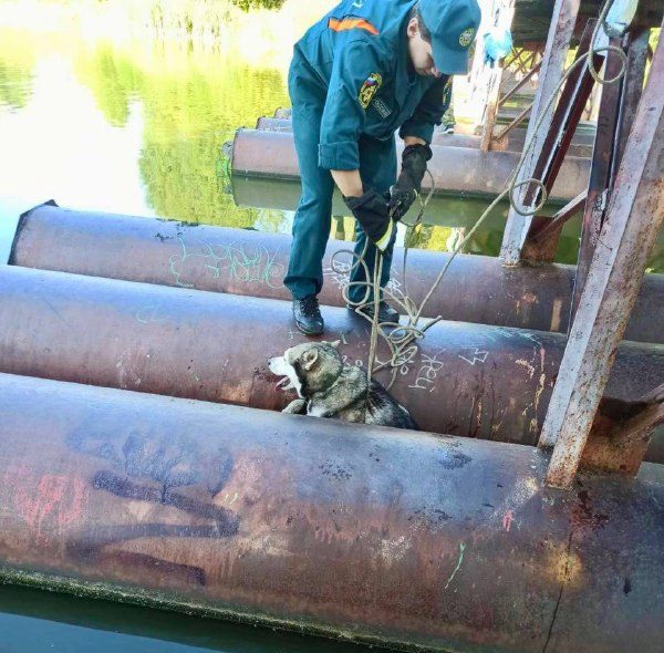 Фото: телеграм-канал МЧС России по Тверской области