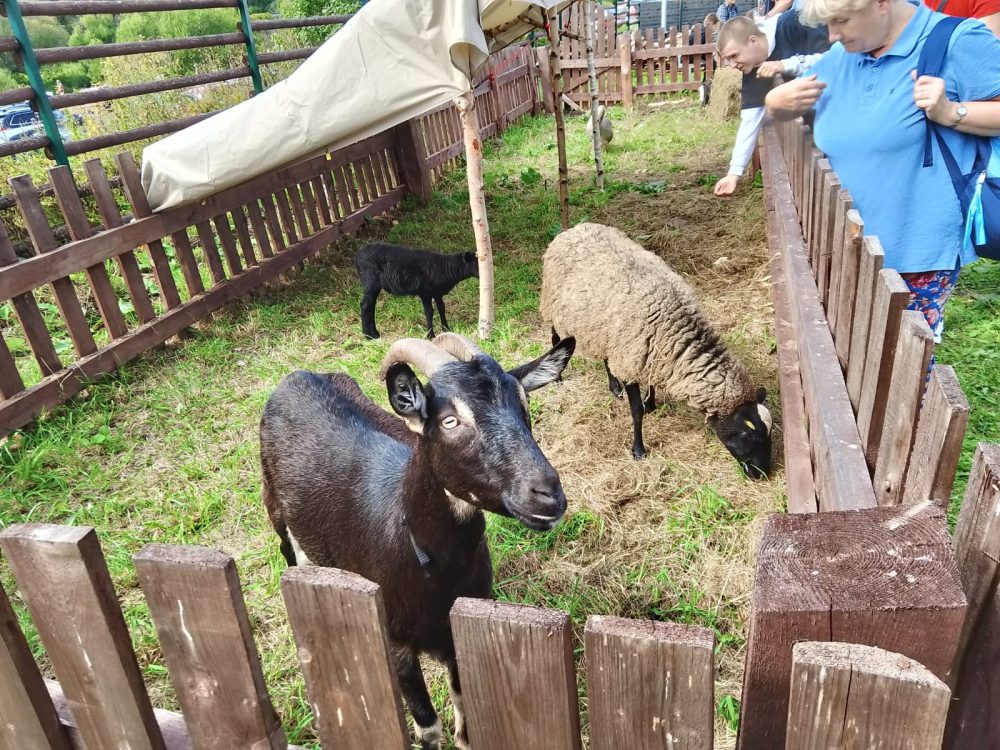 Фото: предоставлено пресс-службой областного правительства