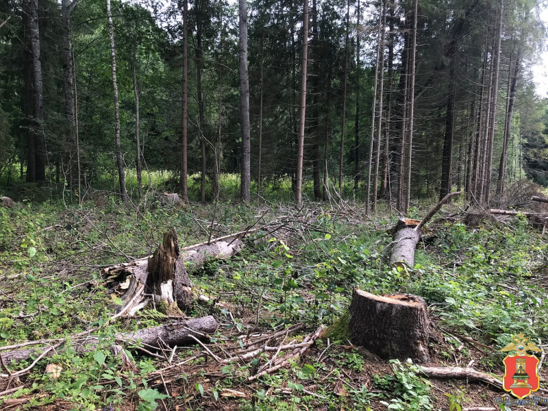 Фото: УМВД России по тверской области