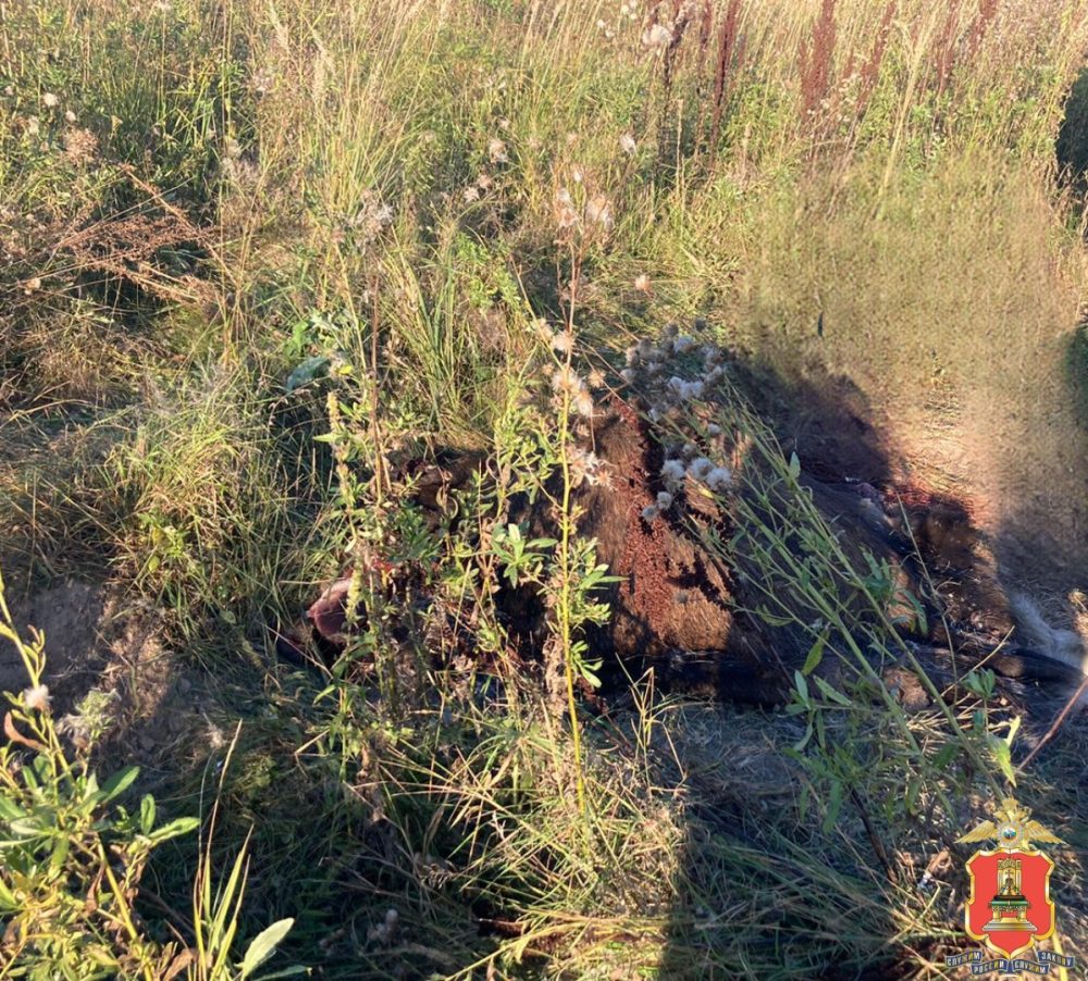 Фото: пресс-служба УМВД России по Тверской области