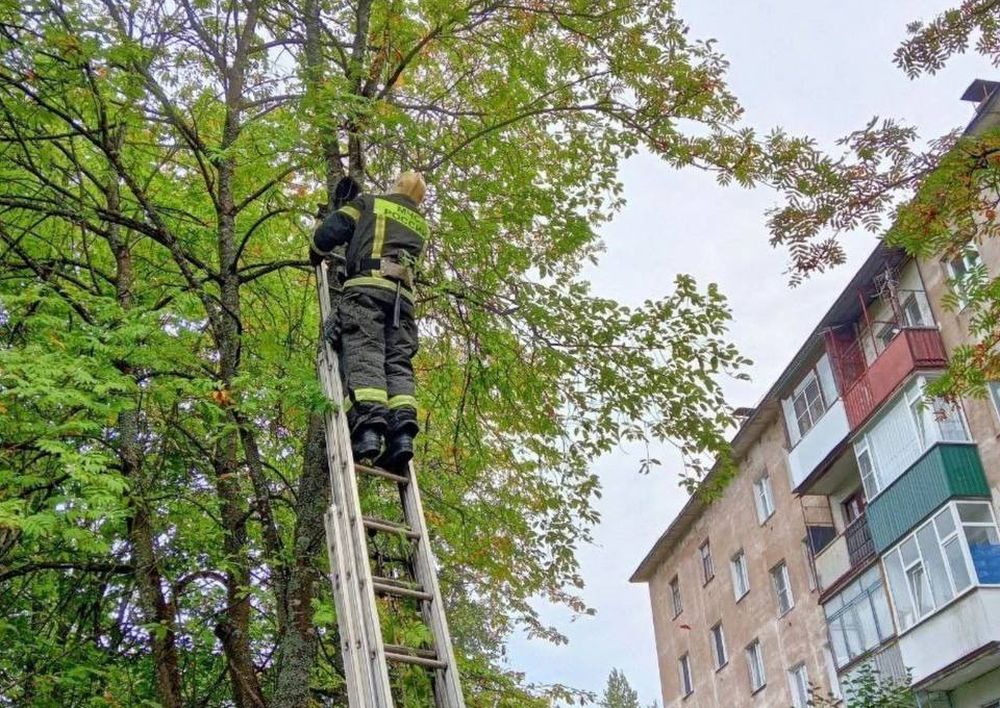 Фото: МЧС России по Тверской области