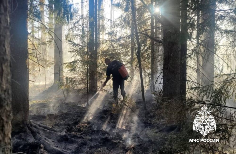 Фото: МЧС России по Тверской области
