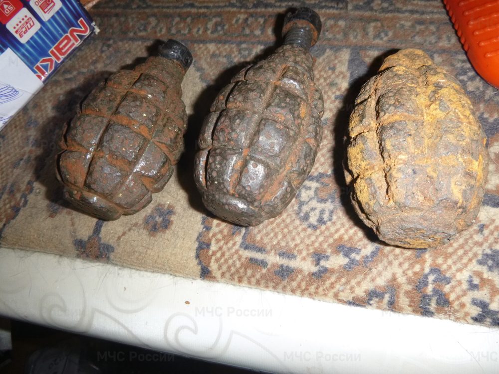 Фото: МЧС России по Тверской области