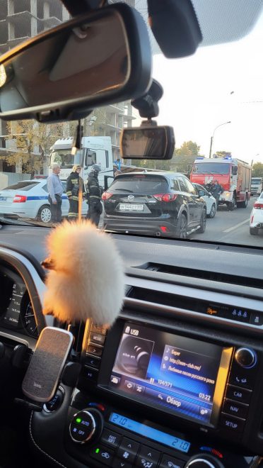 Фото: сообщество 