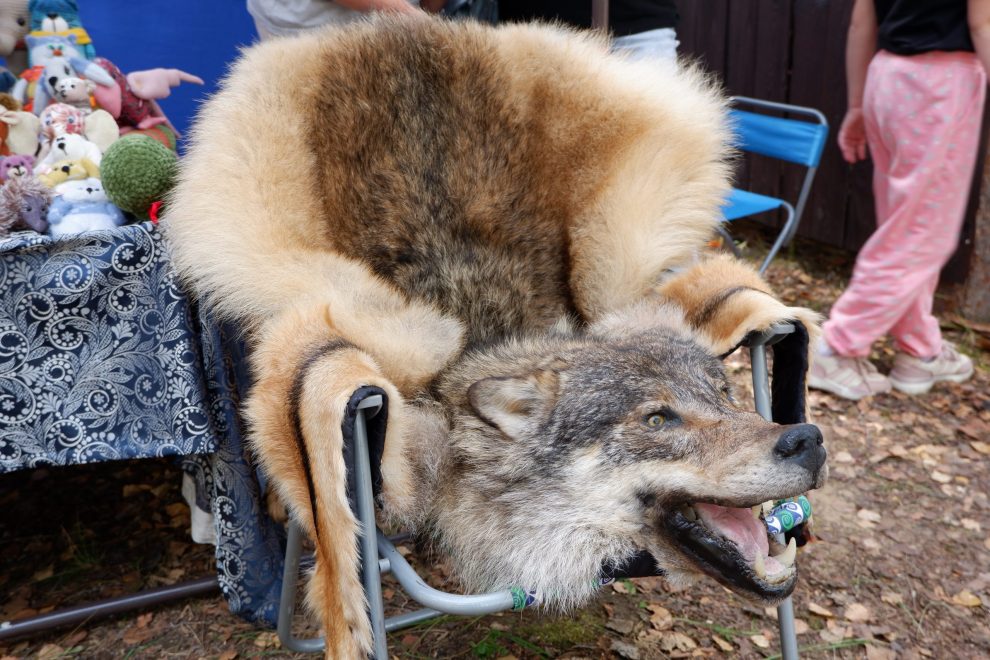 Фото: Евгений Кудряшов/РИА Верхневолжье