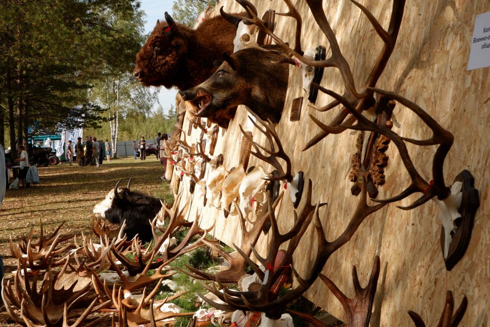 День охотника (2)