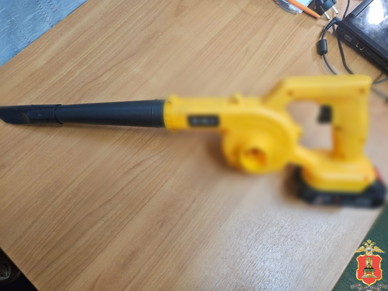 Фото: региональное УМВД