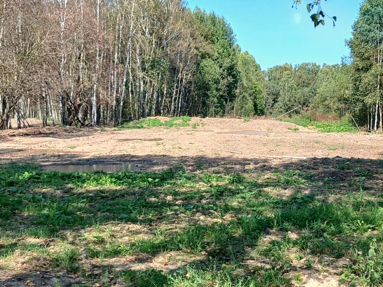 Фото: Россельхознадзор