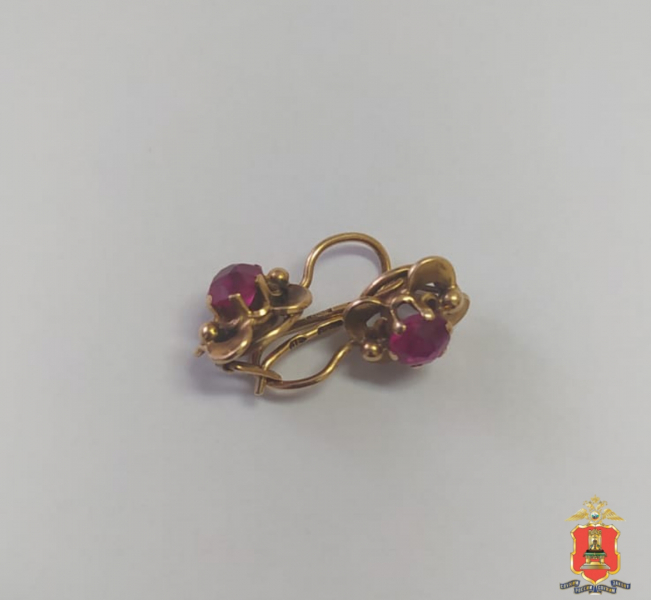 Фото: региональное УМВД