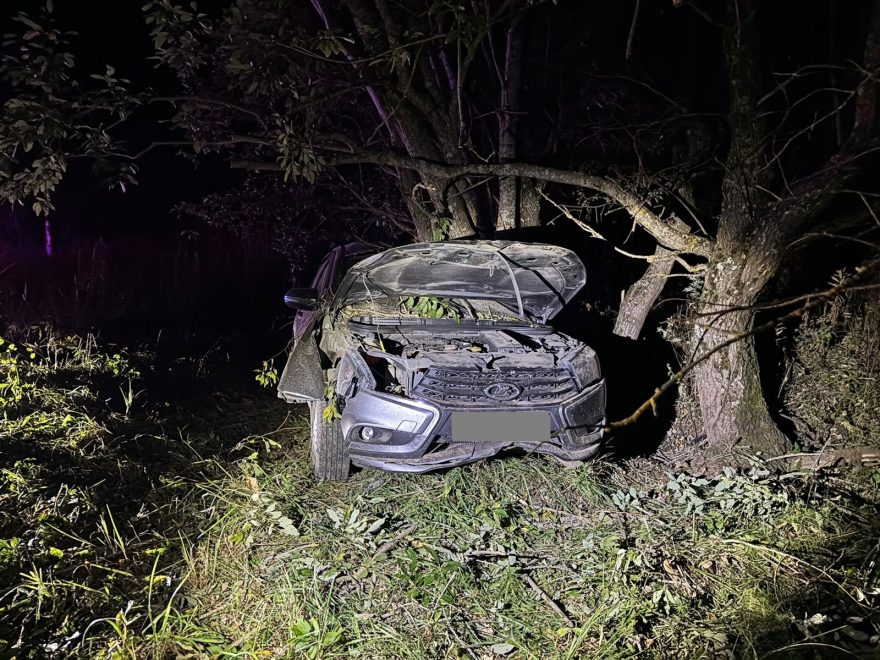 Фото: Госавтоинспекция