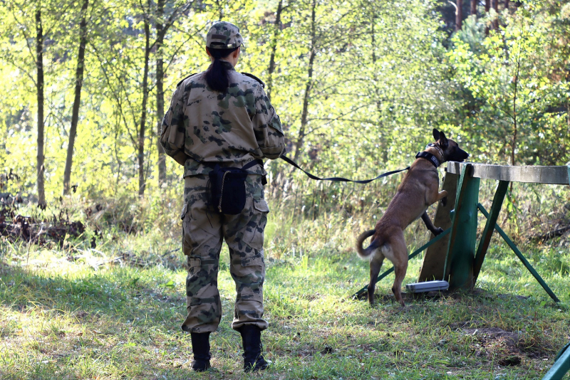 Фото: пресс-служба УМВД России по Тверской области