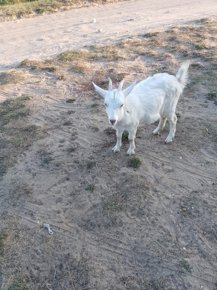 ФОТО: ЛЮБА ИВАНОВА ИЗ ГРУППЫ 