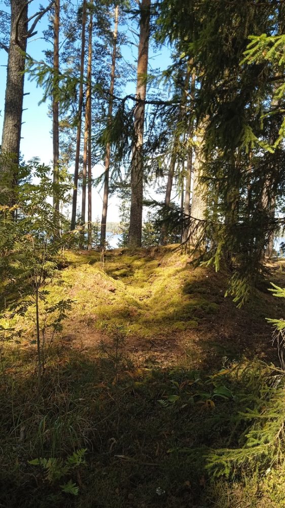 мусор селижаровский округ 5