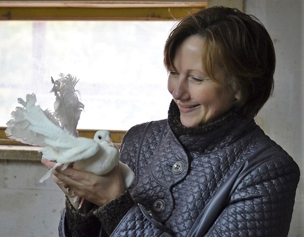 Наталья Дранова: Миллионы жителей новых регионов воспринимают воссоединение как акт величайшей исторической справедливости