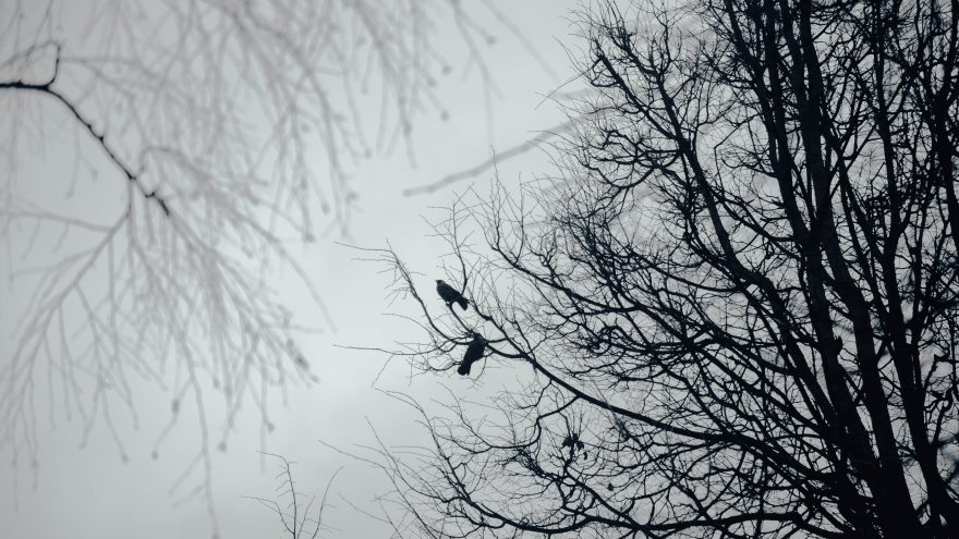 осень, дождь, холод