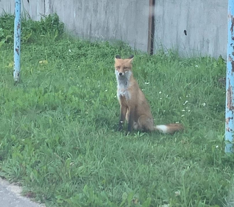 Фото: Татьяна Исаенкова / ВК-сообщество 