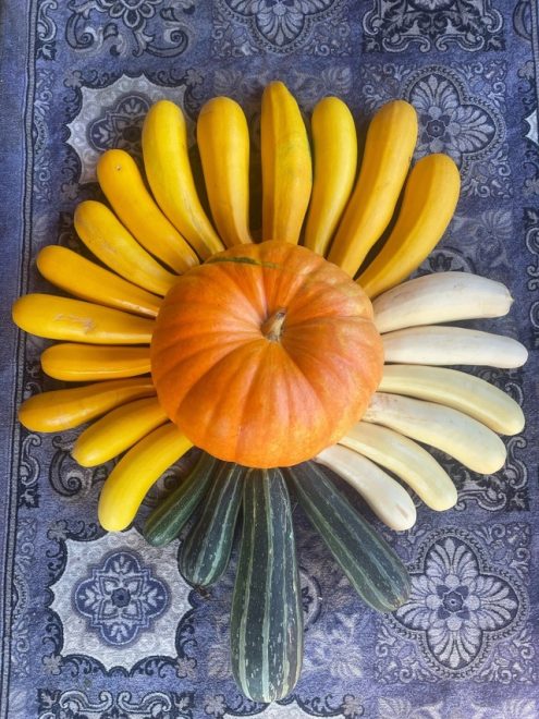 Фото: сообщество 