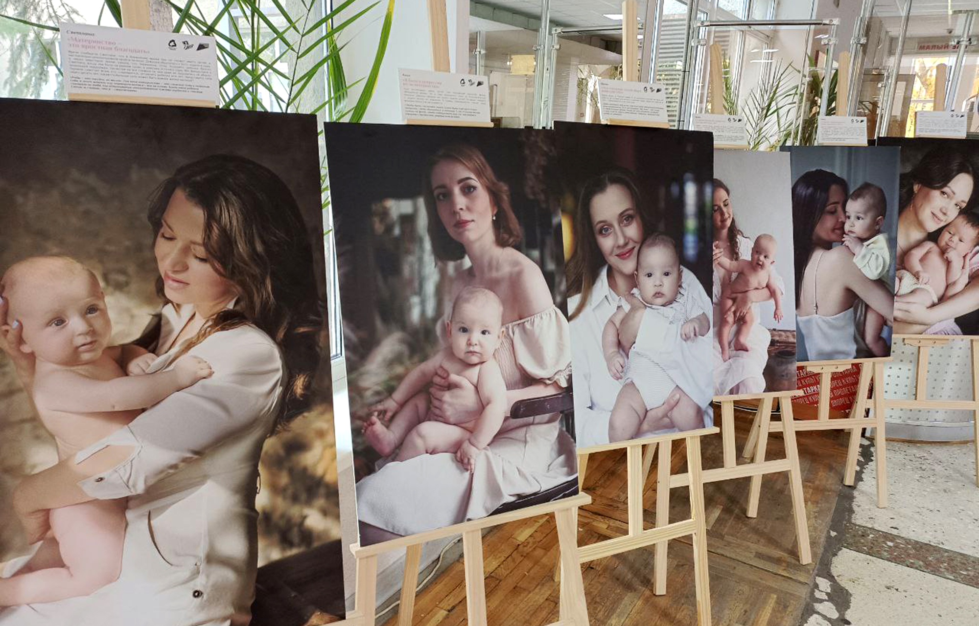 день беременных, беременные, младенцы