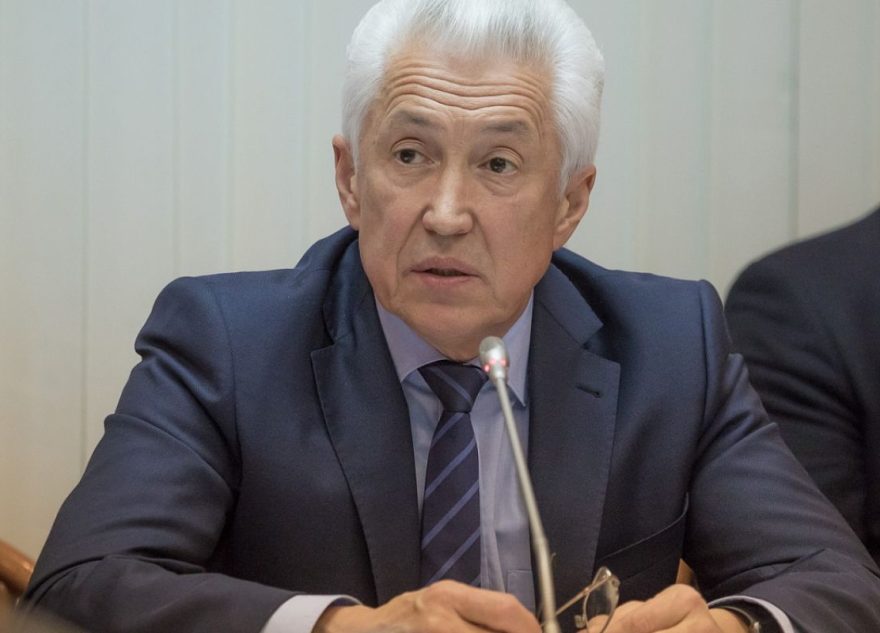 владимир васильев