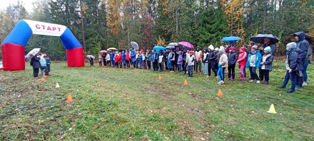 Фото: Вышневолоцкий городской округ