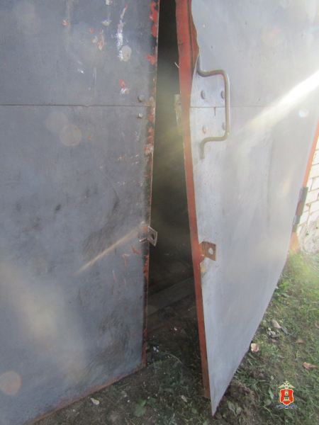 Picsart торжок, кража24 10 30 14 40 02 987 800x600