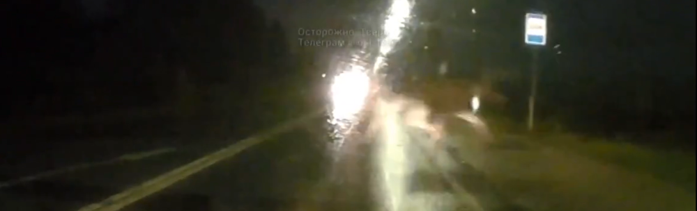 Фото: скриншот с видео / ВК-сообщество 