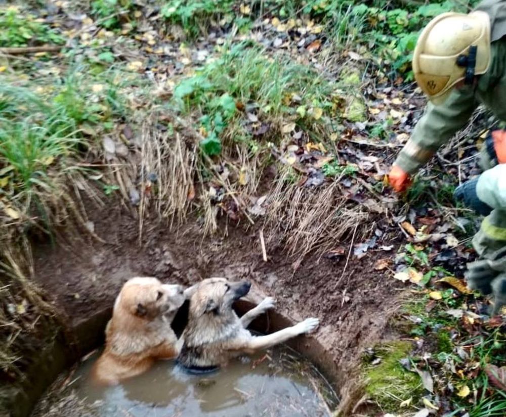 Фото: МЧС России по Тверской области