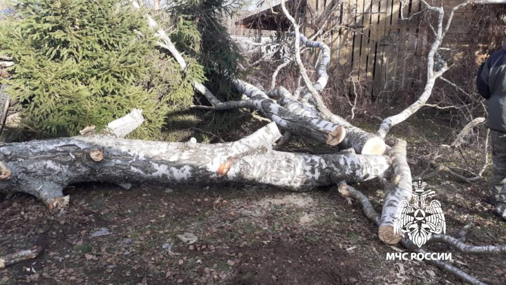 Фото: МЧС России по Тверской области