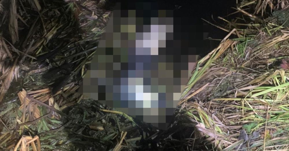 Фото: МЧС России по Тверской области