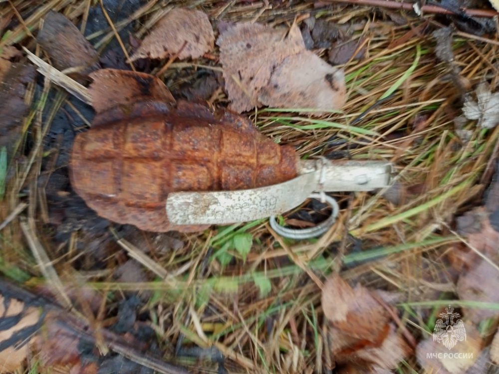 Фото: МЧС России по Тверской области