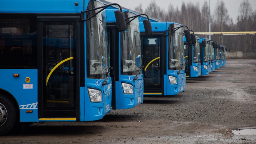 БЕЛЯКОВА АВТОБУСЫ