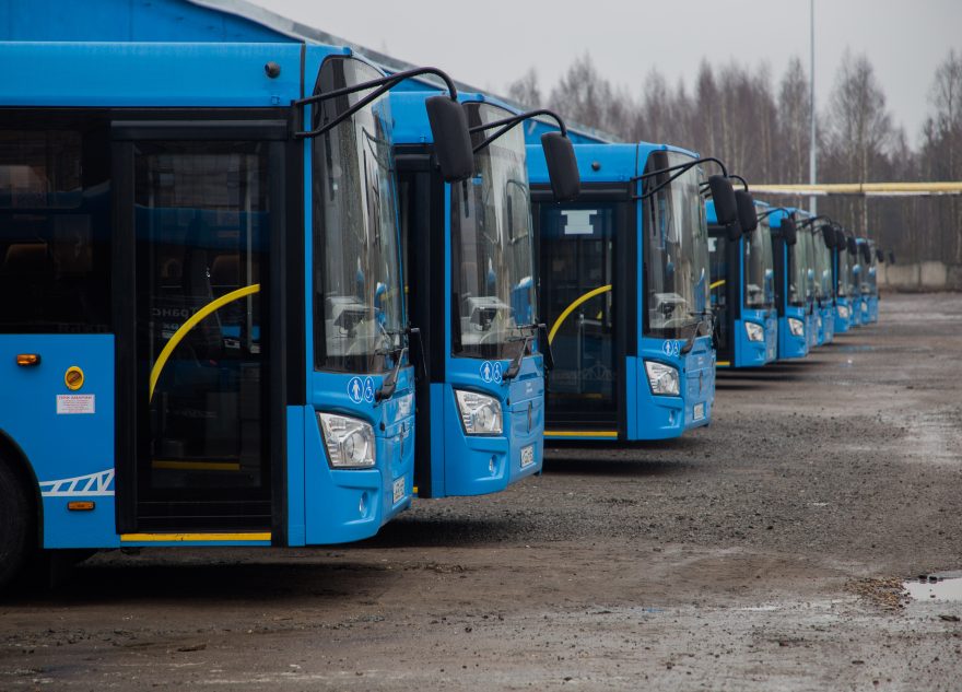 БЕЛЯКОВА АВТОБУСЫ