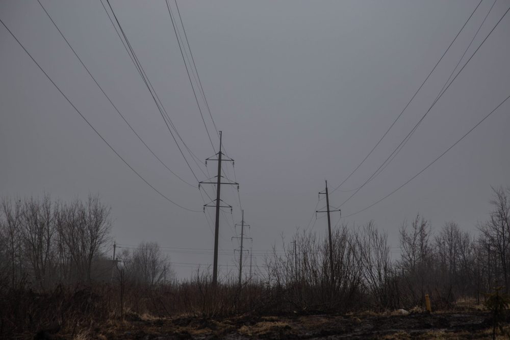 Фото: Кристина Белякова/РИА Верхневолжье