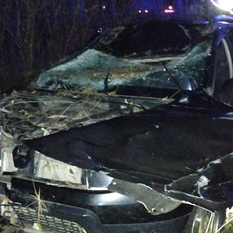 Фото: Бежецкая Госавтоинспекция