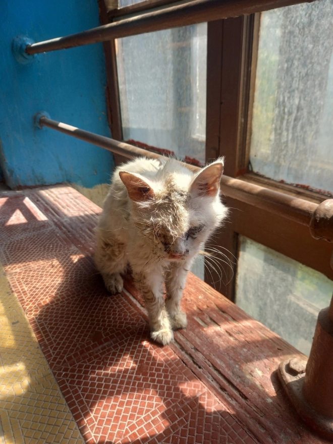 Зина