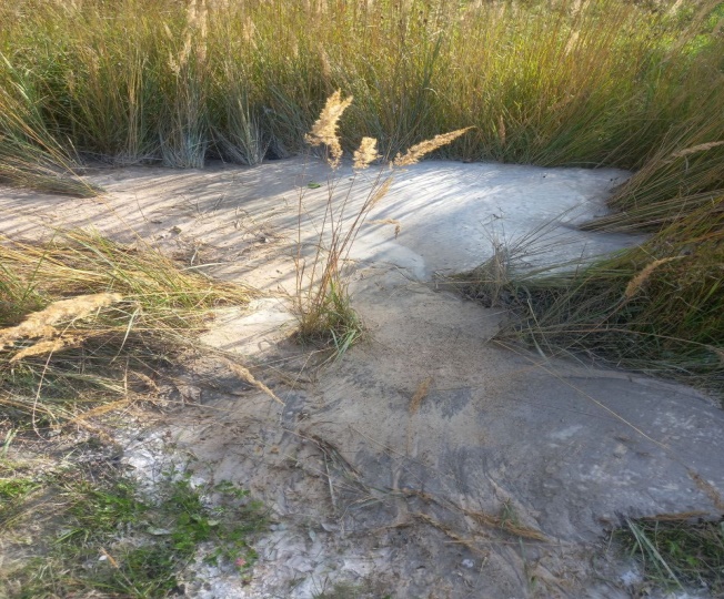 Фото: пресс-служба Правительства Тверской области