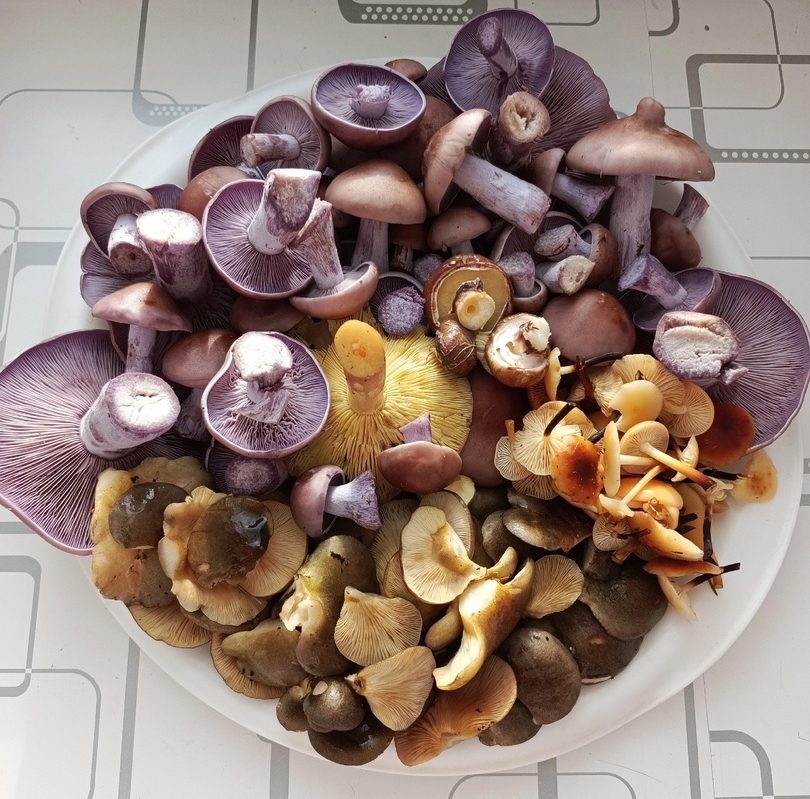 Фото: ВК-сообщество 